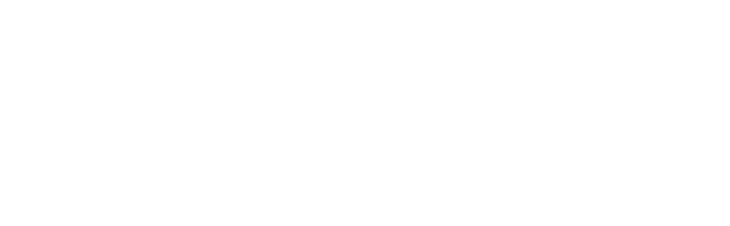 Логотип партнёра