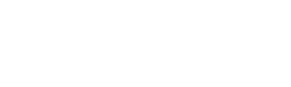 Логотип партнёра