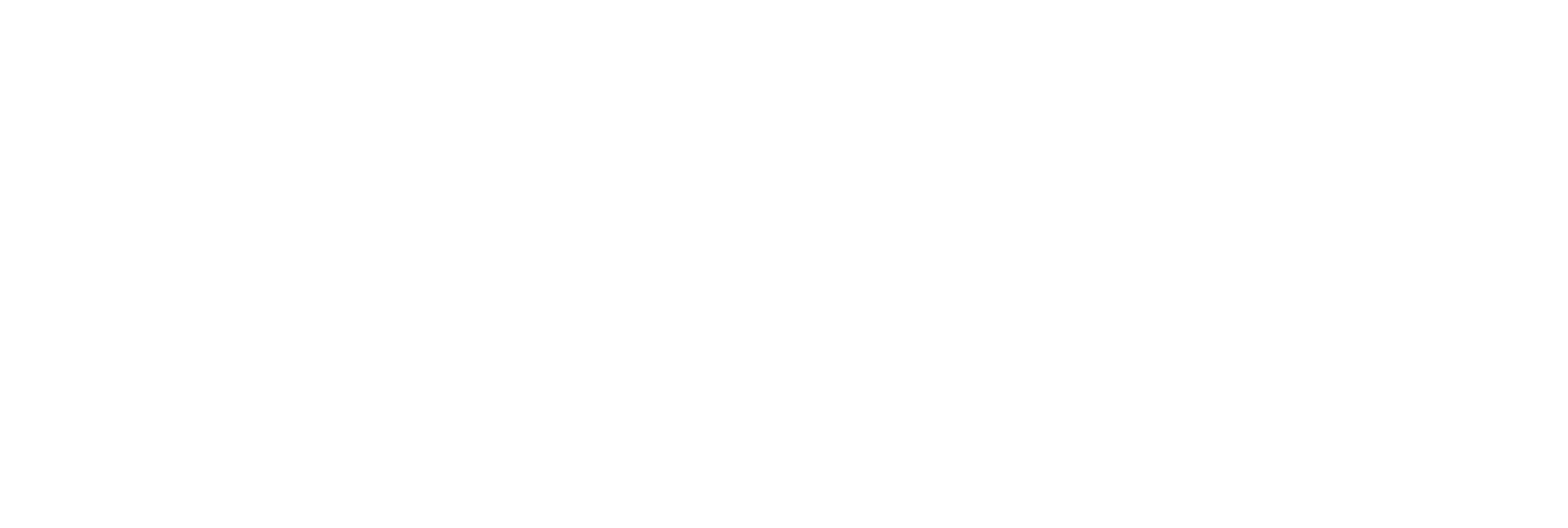 Логотип партнёра