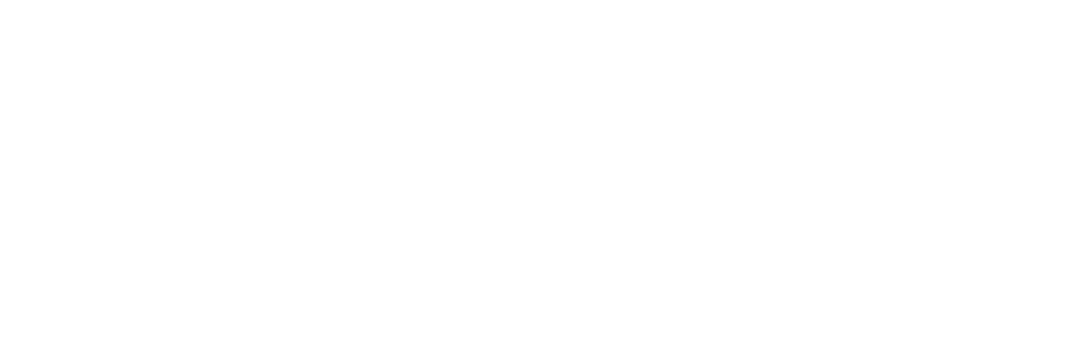 Логотип партнёра