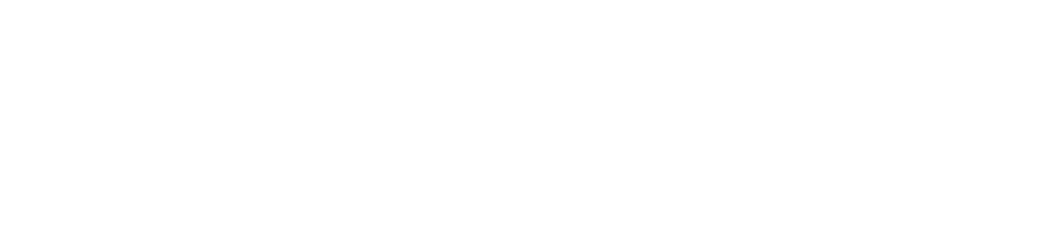 Логотип партнёра