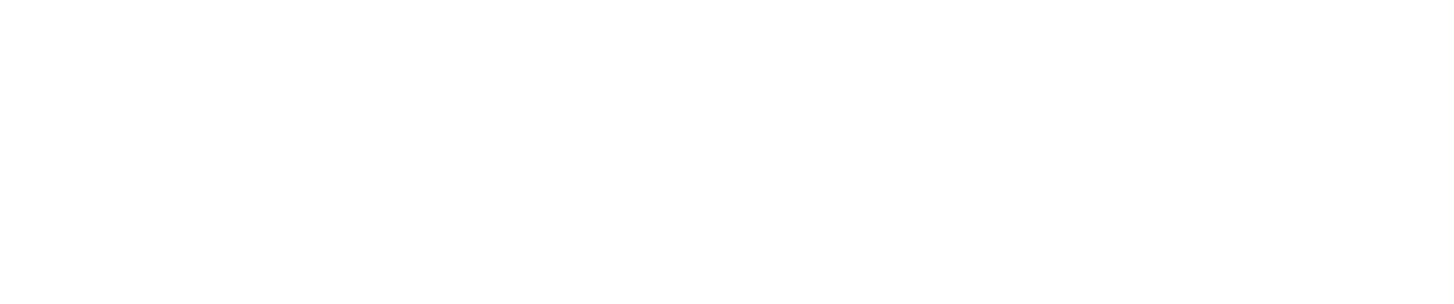 Логотип партнёра